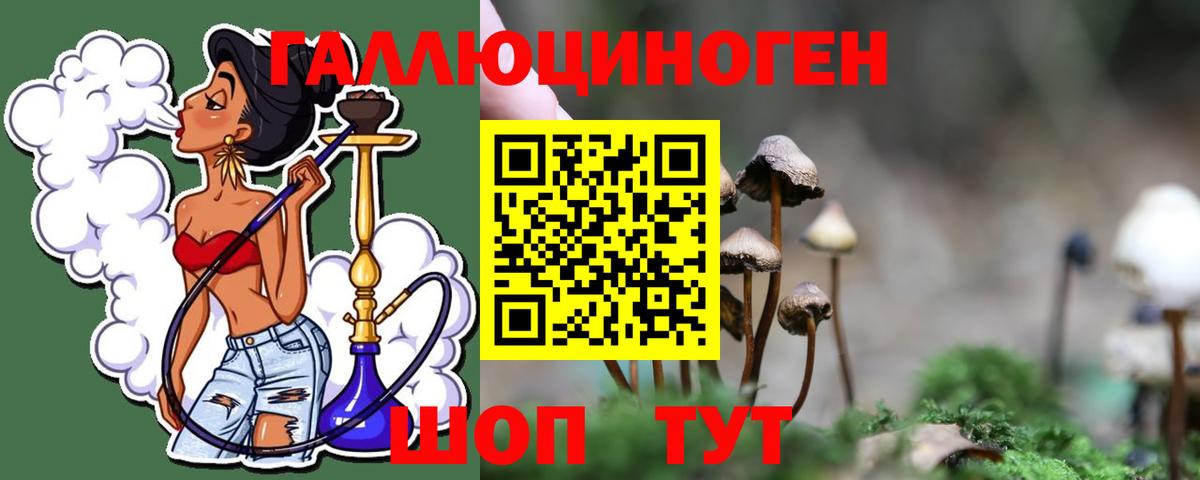 Псилоцибиновые грибы Psilocybine cubensis Старая Русса